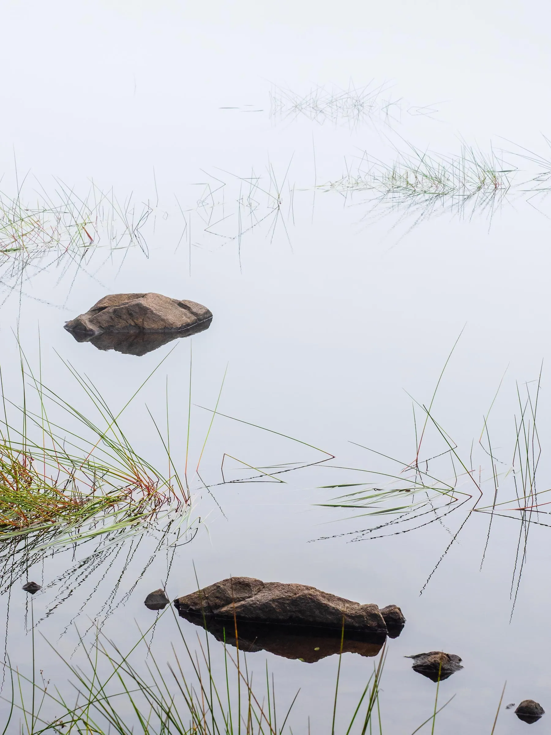 Two stones and grass in white water