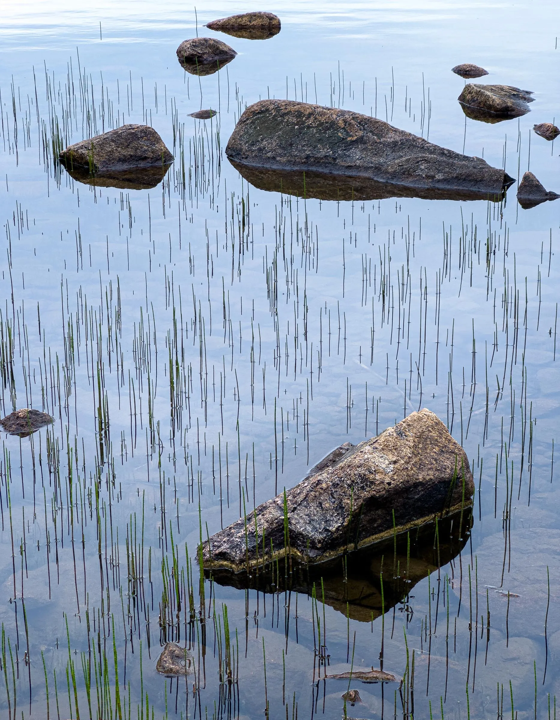 Boulders in still water with grass between them