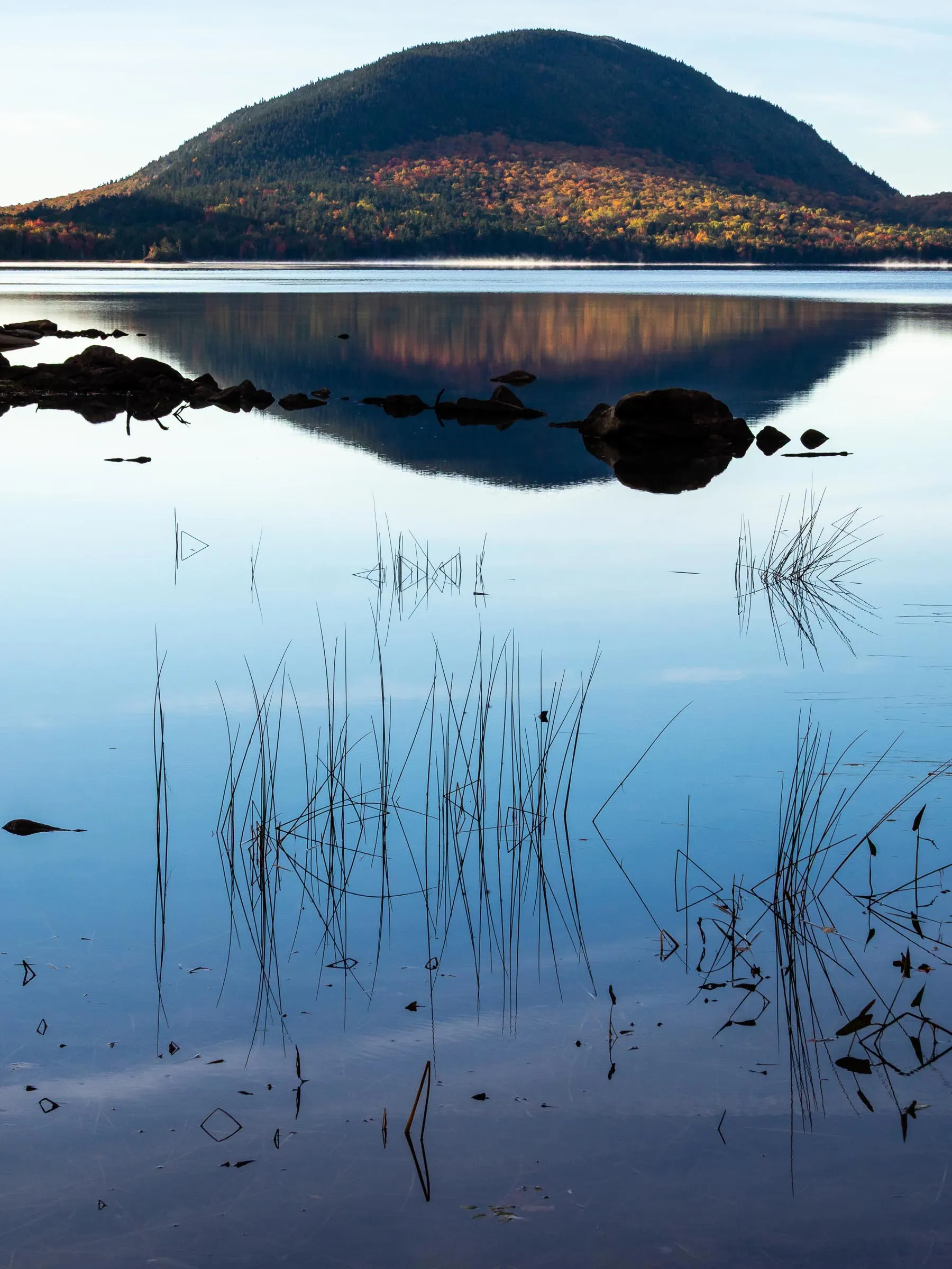 A mountain reflected in still water, with grass rising through the surface