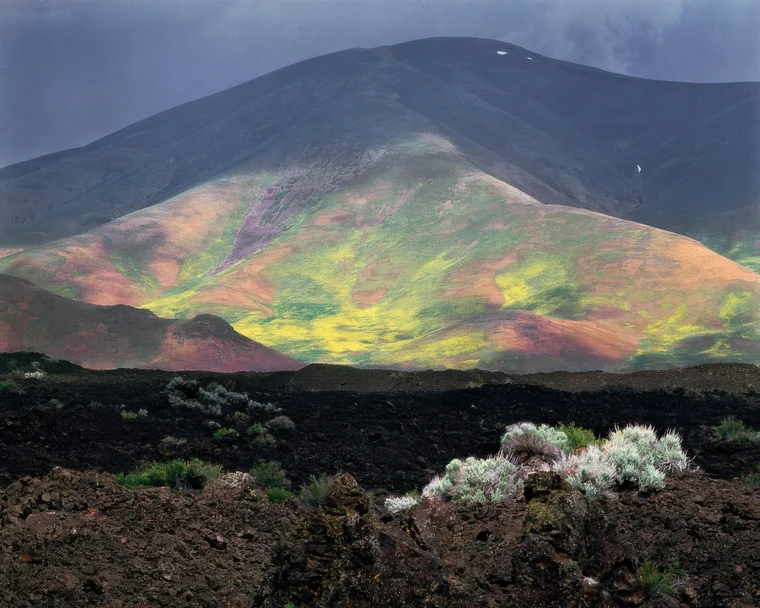 Soft pastel light of yellow, green, and rose sweeping across distant hills above a dark volcanic foreground dotted with pale sage.