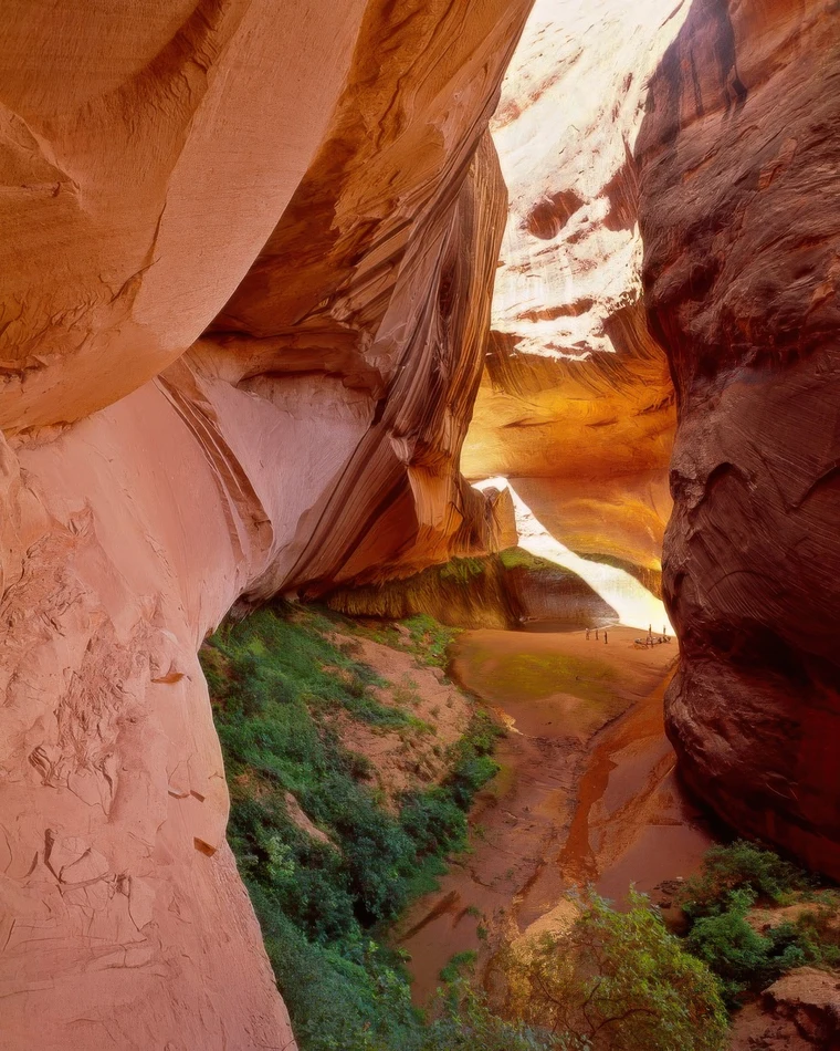Color vertical view inside a towering sandstone chamber, light pouring from above, tiny human figures standing at the base for scale.