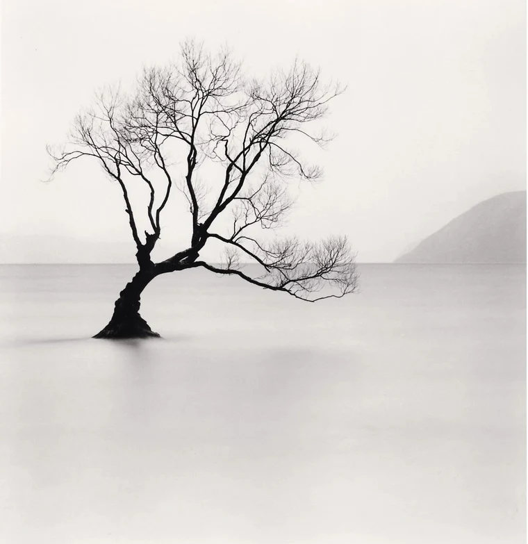 Michael Kenna black-and-white photograph of a small bare tree standing in flat, mirror-still pale water with a faint shoreline behind it.