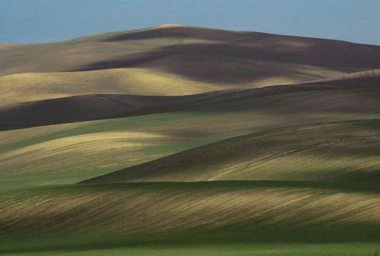 Soft rolling cultivated hills lit by low side light, with bands of green, gold, and shadow forming layered curves under a pale blue sky.