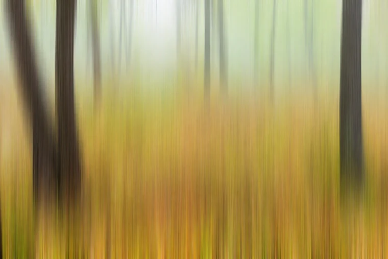 Vertical intentional-camera-movement blur of a forest, with dark tree trunks streaking against bands of green and gold.