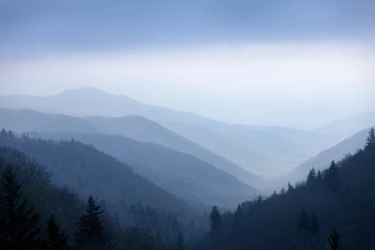 Layered Appalachian mountain ridges receding into pale blue fog, with dark silhouetted trees in the foreground.