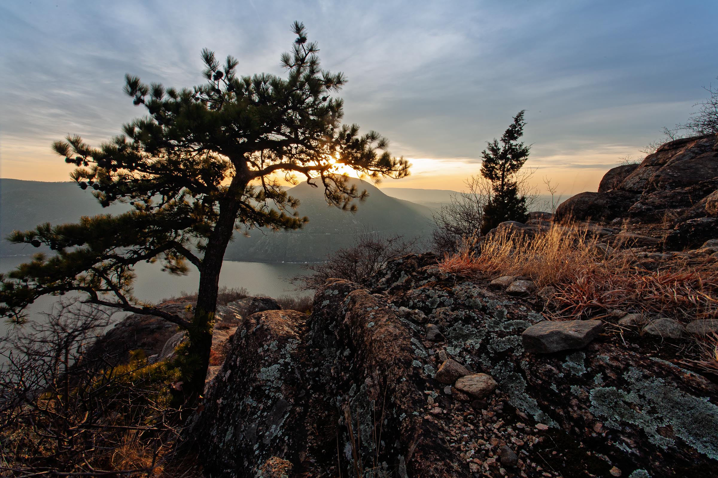 A pine above the river at dusk, by Robert Rodriguez Jr