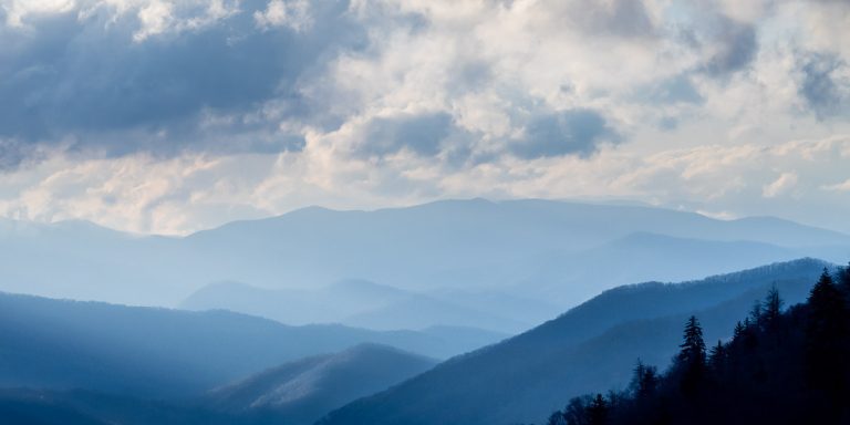 _4270301